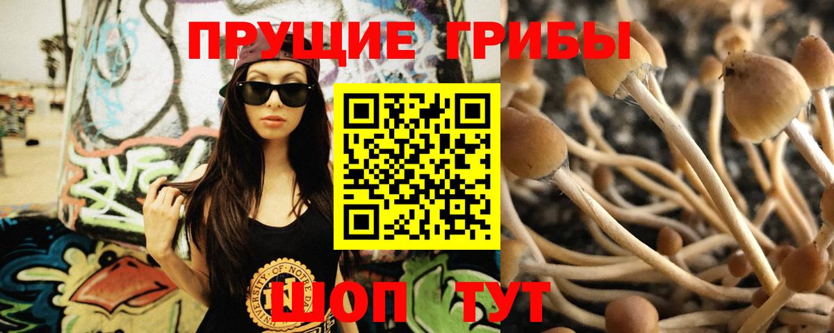 Псилоцибиновые грибы Magic Shrooms Миасс