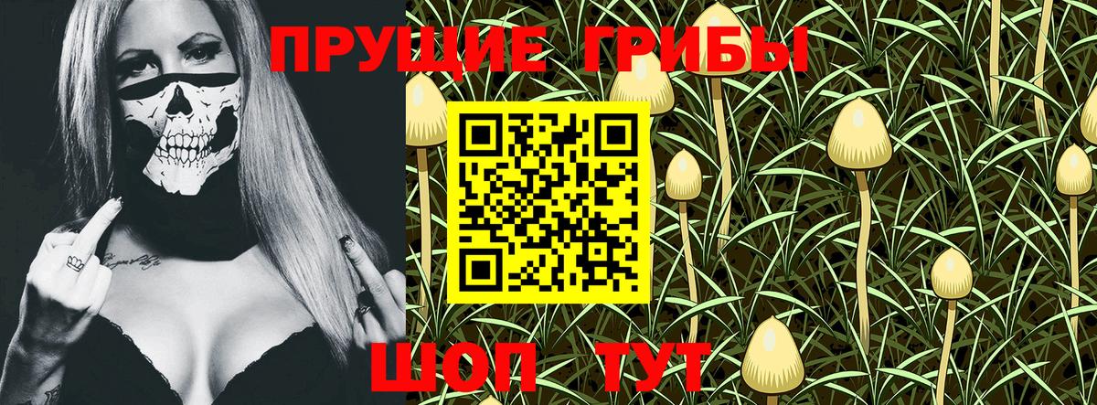 Миасс  Псилоцибиновые грибы MAGIC MUSHROOMS  Псилоцибиновые грибы мухоморы  Вход с VPN 